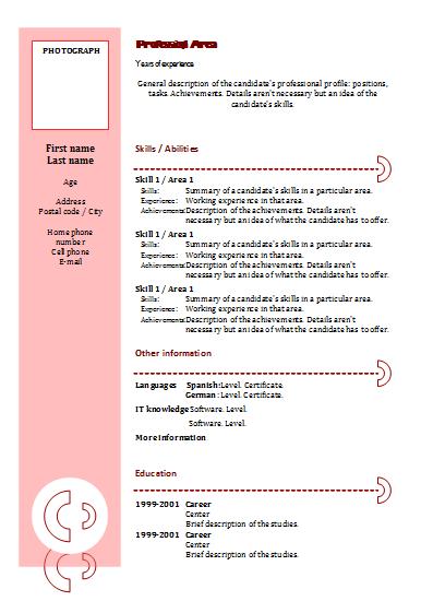 copy of cv format